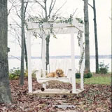Companion Arbor