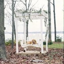 Companion Arbor
