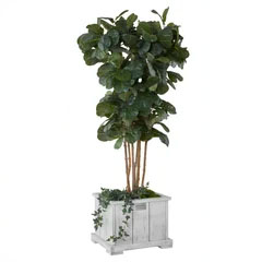 Companion Planter