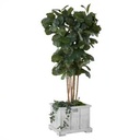 Companion Planter