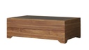 Universal Teak 54” Rectangular Cocktail Table 
Faux Concrete Inset