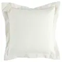 Standard Throw Pillow