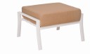 Fremont Cushion Love Seat