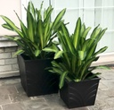 Palm 2 Pack Planter Box 1 - 18" & 1 - 24" Outdoor Furniture