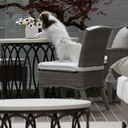 Astoria Side Chair Outdoor Patio Furniture