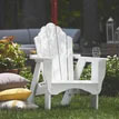 Fanback Chair