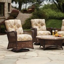 Grand Traverse Swivel Glider Lounge Chair