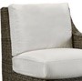 Replacement Cushions for Oasis Lounge Chair