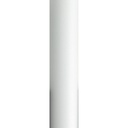 Bottom Pole