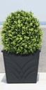Palm 18" Small Square Planter Box