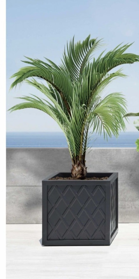 Lattice 18" Small Square Planter Box