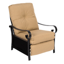 Belden Cushion Recliner