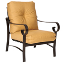 Belden Cushion Lounge Chair