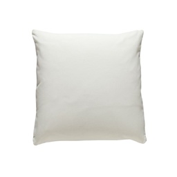 Toss Pillow-17x17