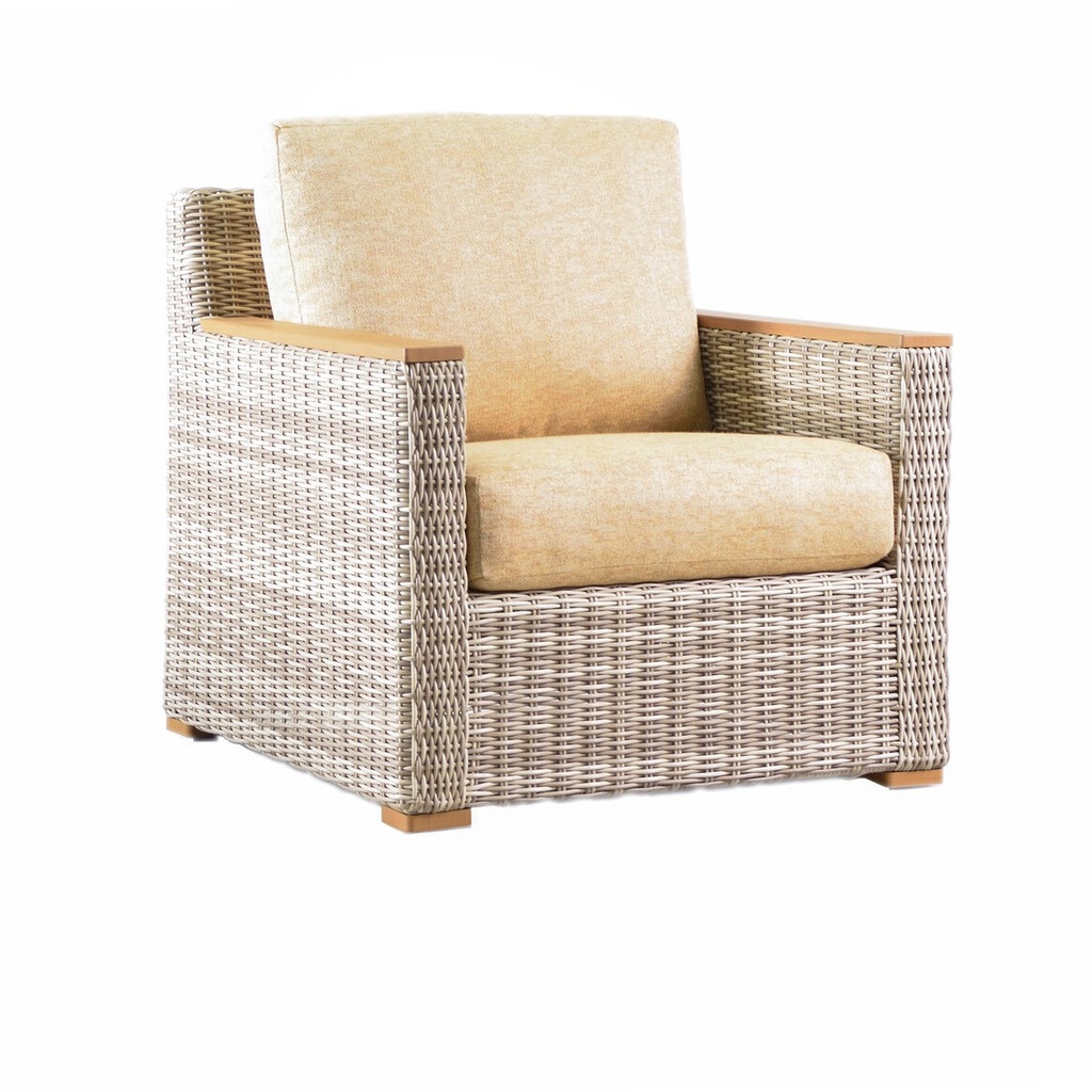 Basseterre Lounge Chair