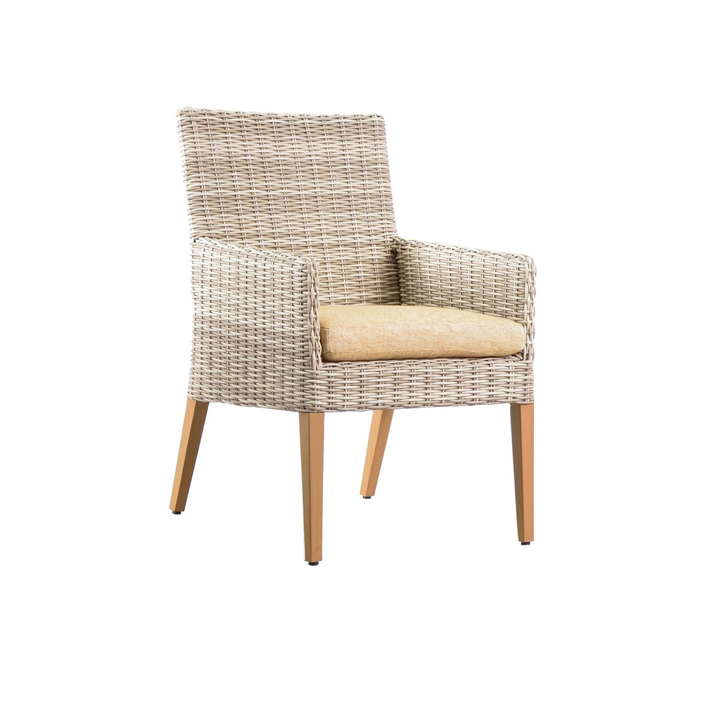 Basseterre Dining Chair