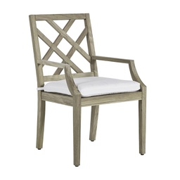 [2945] Haley Arm Chair