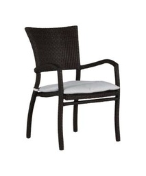 [3580] Skye Arm Chair